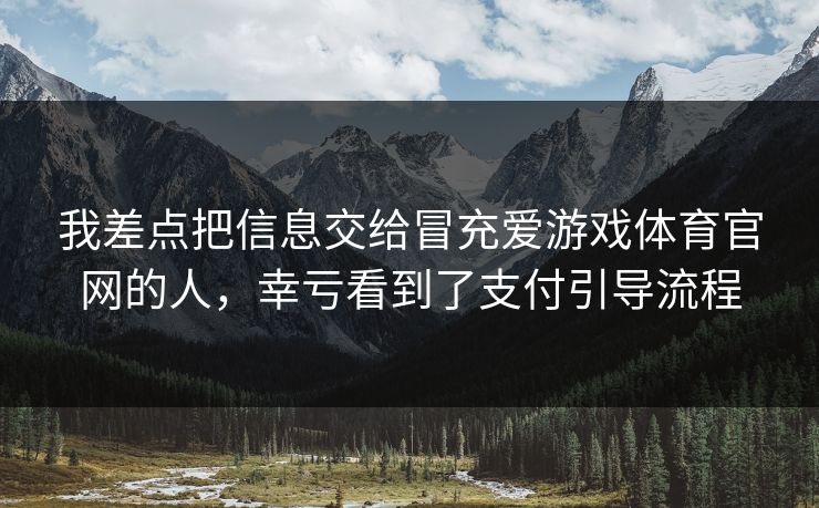 我差点把信息交给冒充爱游戏体育官网的人，幸亏看到了支付引导流程